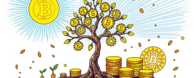 El Efecto Multiplicador: Cómo tus Activos Crean Más Activos