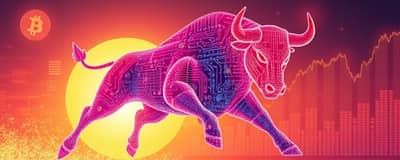 Anatomía de un Bull Run: Reconociendo el Impulso
